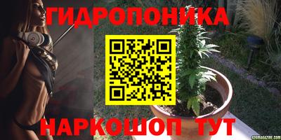 прущие крисы Ярославль