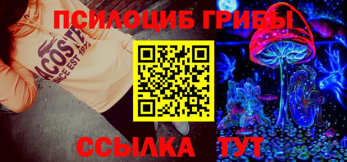Владикавказ  Псилоцибиновые грибы Psilocybe  Псилоцибиновые грибы мухоморы  Вход с VPN 